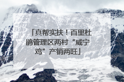 真帮实扶！百里杜鹃管理区两村“威宁鸡”产销两旺
