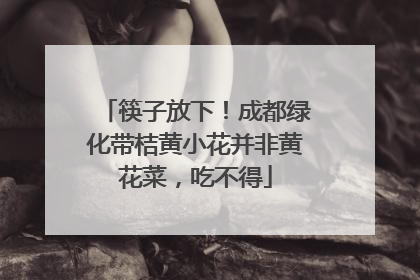 筷子放下！成都绿化带桔黄小花并非黄花菜，吃不得