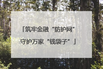 筑牢金融“防护网” 守护万家“钱袋子”