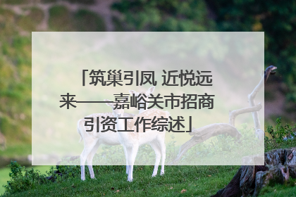 筑巢引凤 近悦远来——嘉峪关市招商引资工作综述