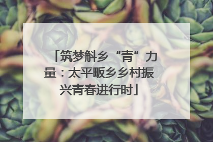 筑梦斛乡“青”力量：太平畈乡乡村振兴青春进行时