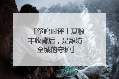 筝鸣时评丨夏粮丰收背后，是潍坊全城的守护