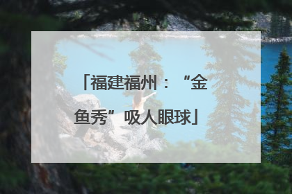 福建福州：“金鱼秀”吸人眼球