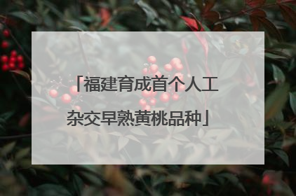 福建育成首个人工杂交早熟黄桃品种