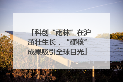 科创“雨林”在沪茁壮生长，“硬核”成果吸引全球目光