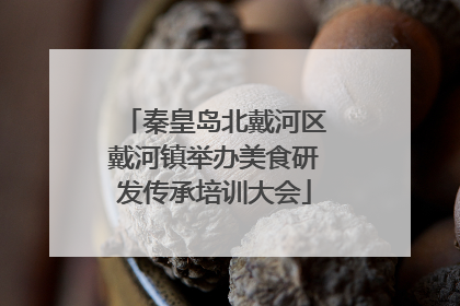 秦皇岛北戴河区戴河镇举办美食研发传承培训大会