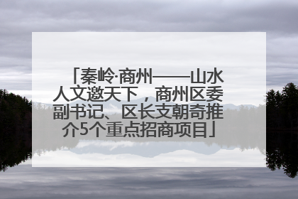 秦岭·商州——山水人文邀天下，商州区委副书记、区长支朝奇推介5个重点招商项目