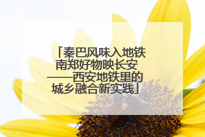 秦巴风味入地铁 南郑好物映长安——西安地铁里的城乡融合新实践
