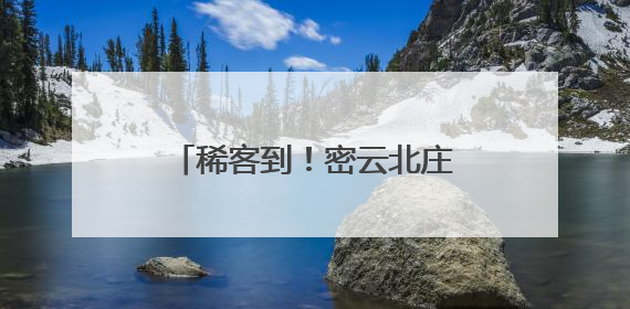 稀客到！密云北庄镇首次发现国家二级保护鸟类凤头鹰