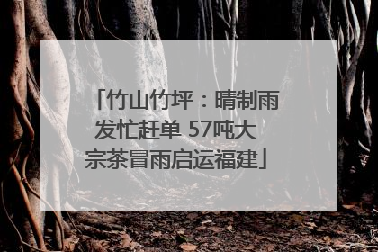 竹山竹坪：晴制雨发忙赶单 57吨大宗茶冒雨启运福建