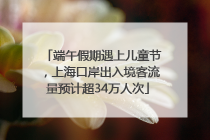 端午假期遇上儿童节，上海口岸出入境客流量预计超34万人次