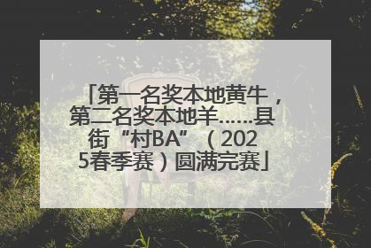 第一名奖本地黄牛，第二名奖本地羊……县街“村BA”（2025春季赛）圆满完赛