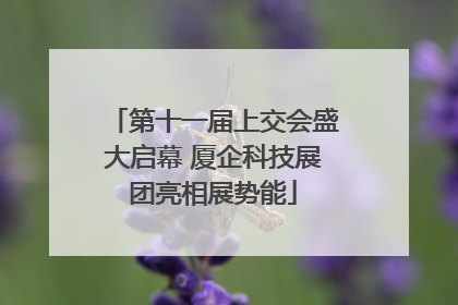 第十一届上交会盛大启幕 厦企科技展团亮相展势能