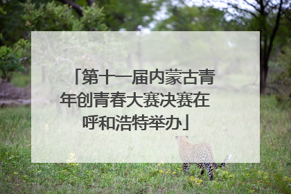 第十一届内蒙古青年创青春大赛决赛在呼和浩特举办