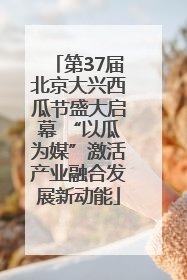 第37届北京大兴西瓜节盛大启幕 “以瓜为媒”激活产业融合发展新动能