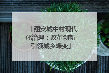 翔安城中村现代化治理：改革创新引领城乡蝶变