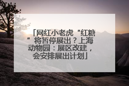 网红小老虎“红糖”将暂停展出？上海动物园：展区改建，会安排展出计划
