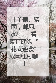 羊棚、猪圈，邮局、水厂……看废弃建筑“花式逆袭”成网红村咖