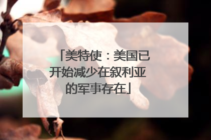美特使：美国已开始减少在叙利亚的军事存在
