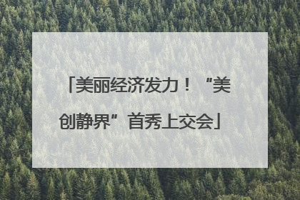 美丽经济发力！“美创静界”首秀上交会