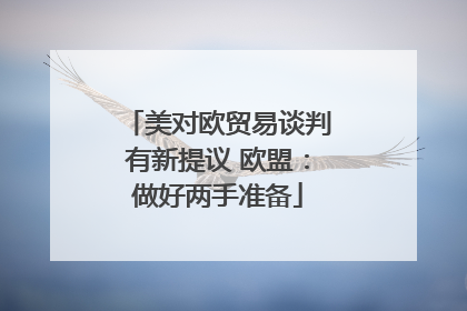 美对欧贸易谈判有新提议 欧盟：做好两手准备