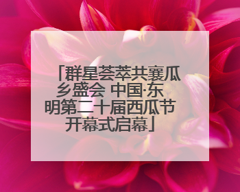 群星荟萃共襄瓜乡盛会 中国·东明第二十届西瓜节开幕式启幕