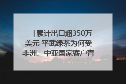 累计出口超350万美元 平武绿茶为何受非洲、中亚国家客户青睐？｜发布会观察