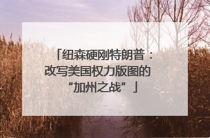 纽森硬刚特朗普：改写美国权力版图的 “加州之战”