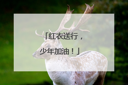 红衣送行，少年加油！