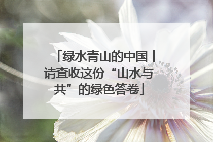 绿水青山的中国丨请查收这份“山水与共”的绿色答卷