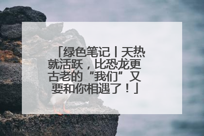 绿色笔记丨天热就活跃，比恐龙更古老的“我们”又要和你相遇了！