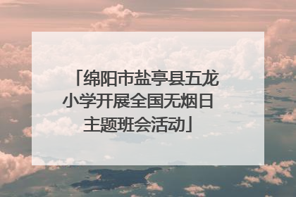 绵阳市盐亭县五龙小学开展全国无烟日主题班会活动