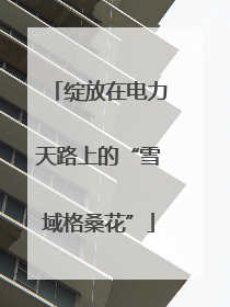 绽放在电力天路上的“雪域格桑花”