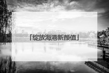 绽放海港新颜值