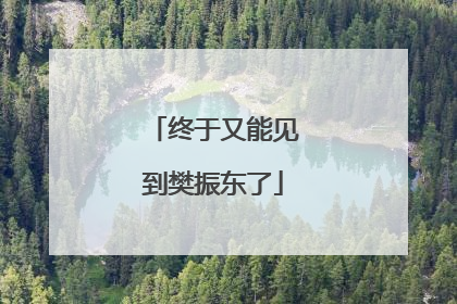 终于又能见到樊振东了