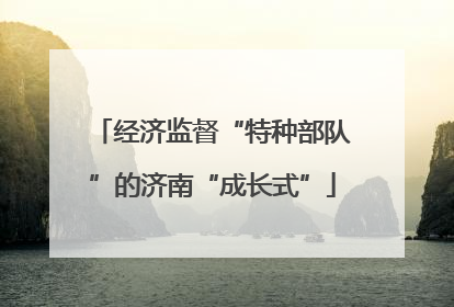 经济监督“特种部队”的济南“成长式”