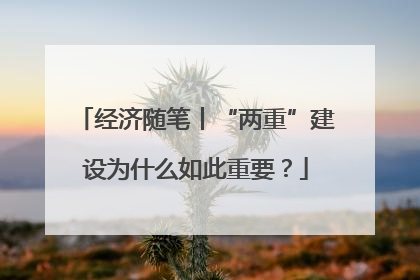 经济随笔丨“两重”建设为什么如此重要？