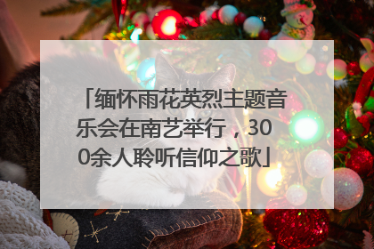 缅怀雨花英烈主题音乐会在南艺举行，300余人聆听信仰之歌