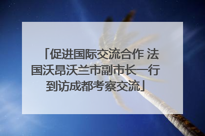 促进国际交流合作 法国沃昂沃兰市副市长一行到访成都考察交流