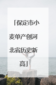保定市小麦单产创河北省历史新高