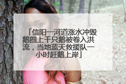 信阳一河道涨水冲毁鹅圈上千只鹅被卷入洪流，当地蓝天救援队一小时赶鹅上岸