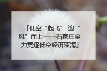 低空“起飞” 迎“风”而上——石家庄全力竞逐低空经济蓝海