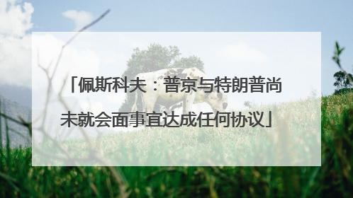 佩斯科夫：普京与特朗普尚未就会面事宜达成任何协议