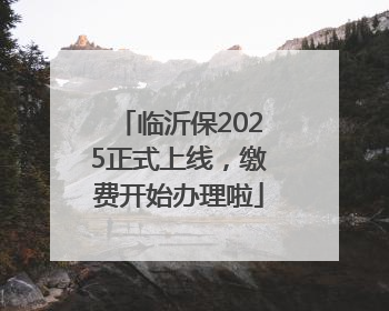 临沂保2025正式上线，缴费开始办理啦