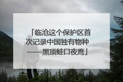 临沧这个保护区首次记录中国独有物种——黑顶蛙口夜鹰