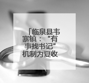 临泉县韦寨镇：“有事找书记”机制为夏收工作保驾护航