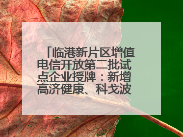 临港新片区增值电信开放第二批试点企业授牌：新增高济健康、科戈波特两家