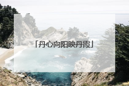 丹心向阳映丹霞