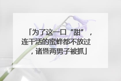 为了这一口“甜”，连干活的蜜蜂都不放过，诸暨两男子被抓