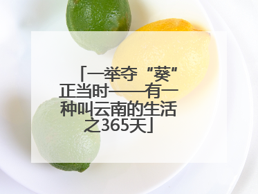 一举夺“葵”正当时——有一种叫云南的生活之365天